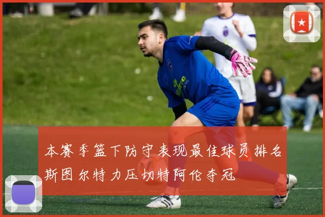 本赛季篮下防守表现最佳球员排名斯图尔特力压切特阿伦夺冠
